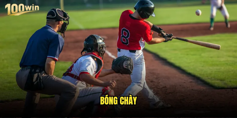 bóng chày