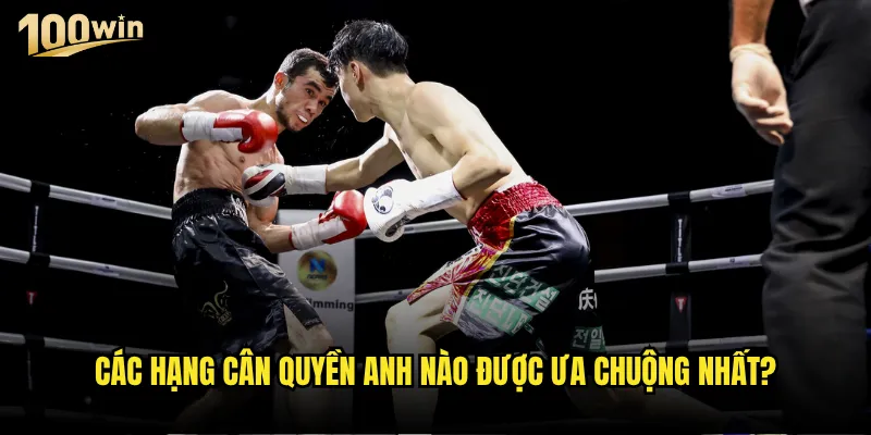 Quyền anh tại 100win có những trận đấu đỉnh cao nào? 2 Các hạng cân quyền anh nào được ưa chuộng nhất?